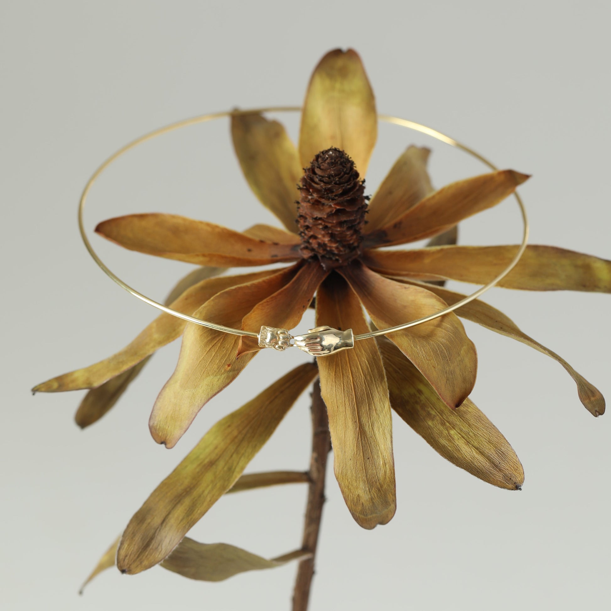 Вишуканий срібний чокер Лапка та ручка у позолоті від бренду Лучі LUCHI, покладений на квітку