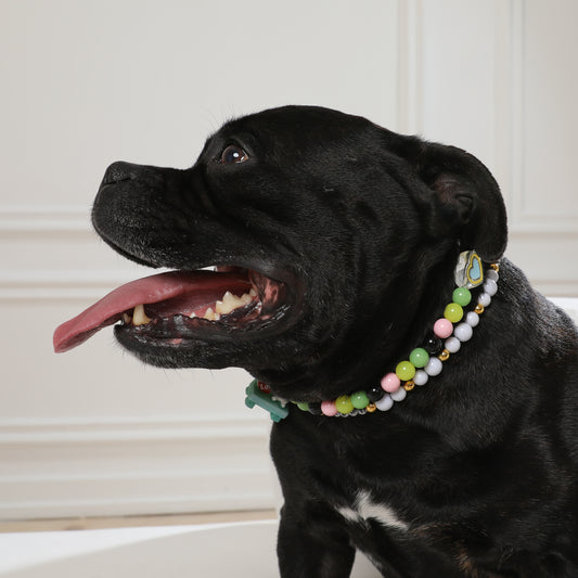 Собака у подвійних намистах від бренду LUCHI Лучі