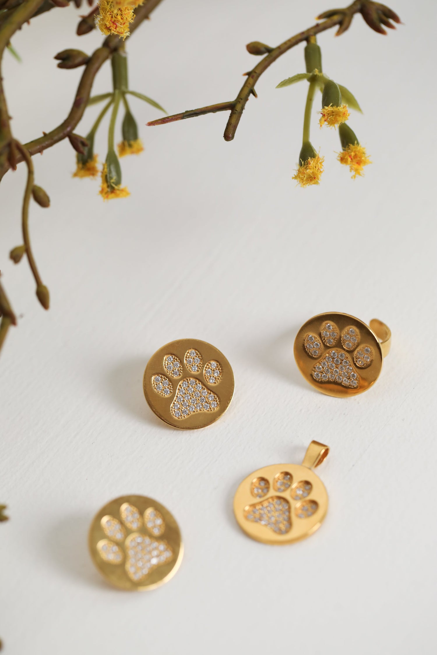 Happy Paw